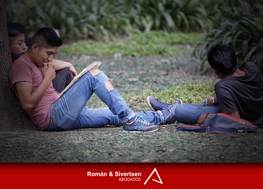 Apoyo en la constitución para los jóvenes que no trabajan